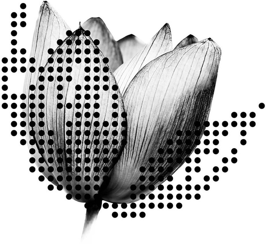 Vyvíjíme a testujeme inovační softvér pro pojišťovny