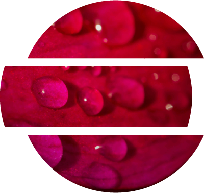 msg.Insurance Suite řešení softvérových komponent pro pojišťovací společnosti