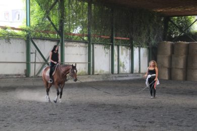 jizda-na-koni-pro-zamestnance