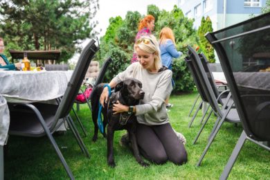 letni-party-s-domacimi-mazlicky